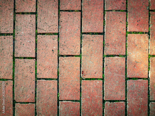 red brick road grasses in the gaps
