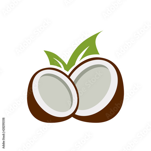 Vector illustration logo coconut
