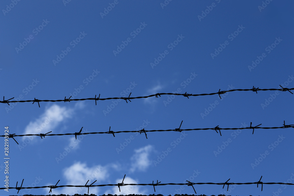 Lines of barbed wire on the blue sky background Lines of barbed wire on the blue sky background