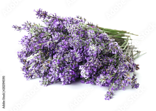 Beautiful lavender flowers on white background