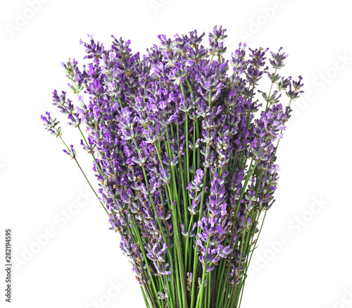 Beautiful lavender flowers on white background