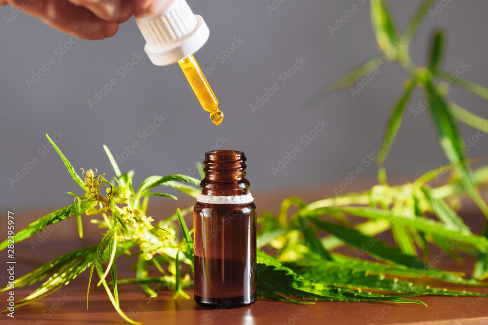 Hemp plant herbal pharmaceutical CBD oil from jar. CBD oil bottles cannabis extract tincture liquid on wooden table. Medical marijuana concept Hemp plant herbal pharmaceutical CBD oil from jar. CBD oil bottles cannabis extract tincture liquid on wooden table. Medical marijuana concept