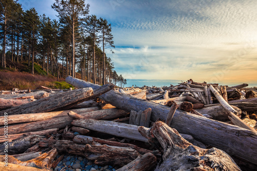 Piles of Driftwood on Ruby Beach photo