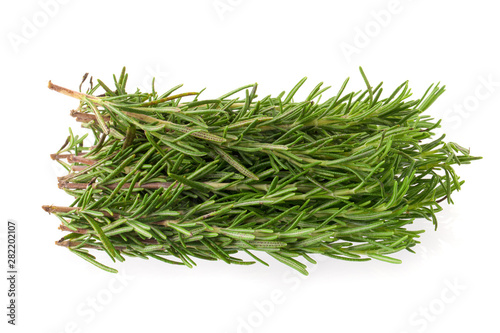 fresh rosemary bunch isolated on white background