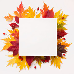 Bright composition of fallen autumn leaves with blank space