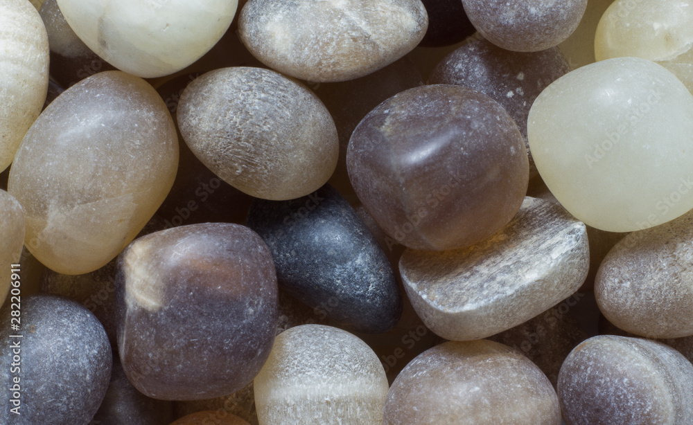 Natural small pieces of round agate macro Natural small pieces of round agate macro