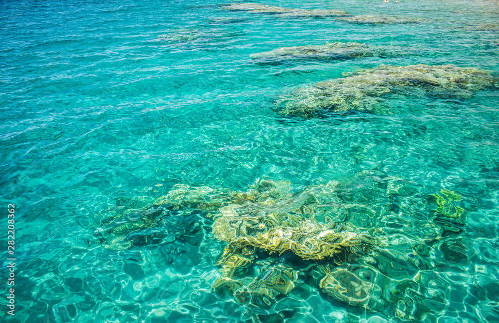 Red sea transparent aquamarine water with bottom coral riffs view from above tropic natural background picture 