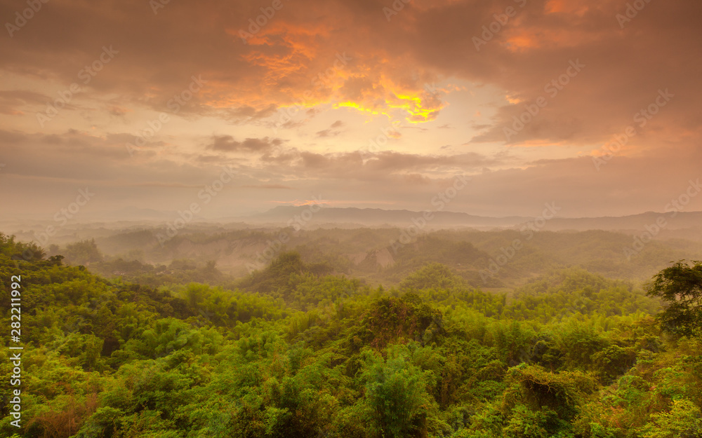 Serene Daybreak at a Misty Bamboo Valley