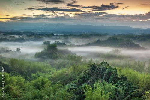 Serene Daybreak at a Misty Bamboo Valley © Daniel Dawn