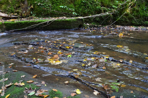 Bannwald Wieslaufschlucht photo