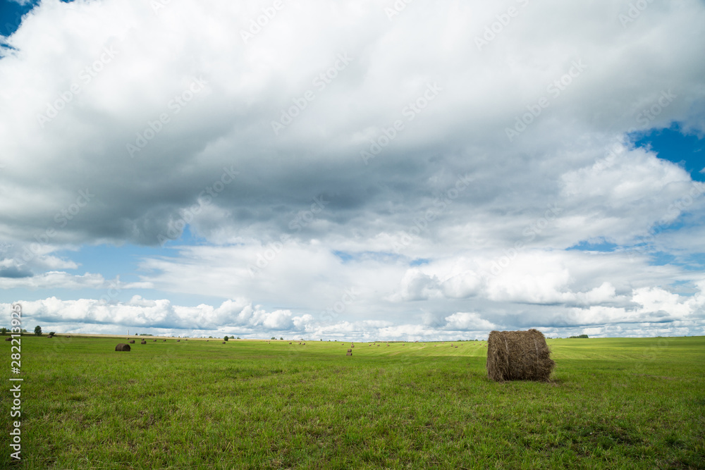 Harvested agricultural field. Autumn, summer landscape Harvested agricultural field. Autumn, summer landscape