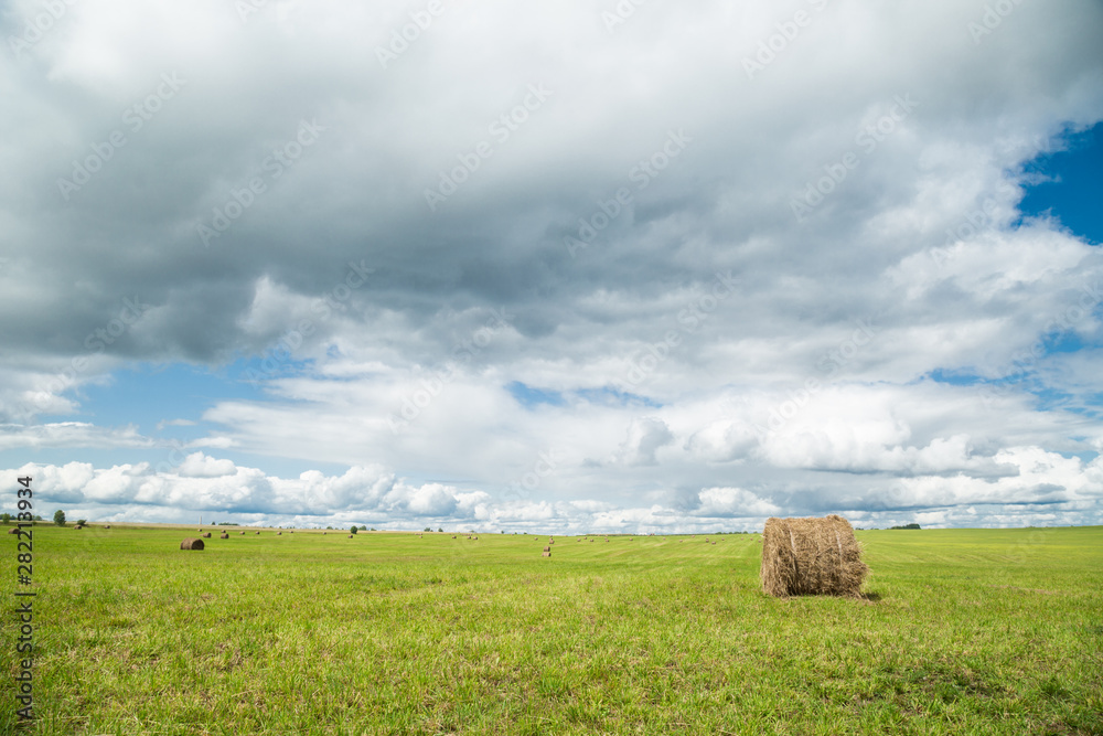 Harvested agricultural field. Autumn, summer landscape Harvested agricultural field. Autumn, summer landscape