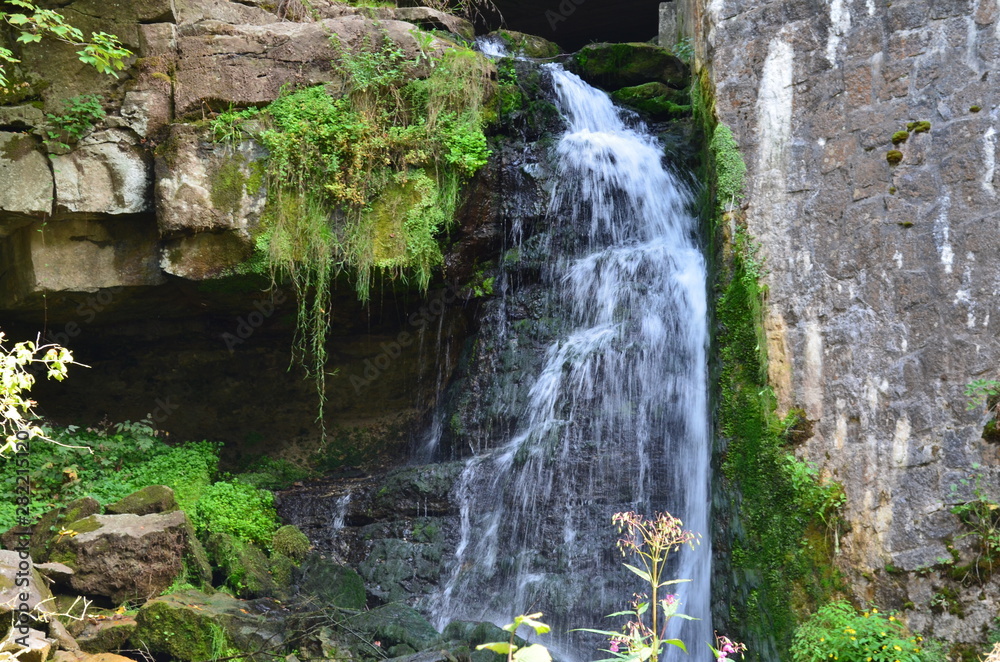 Fototapeta premium Bannwald Wieslaufschlucht