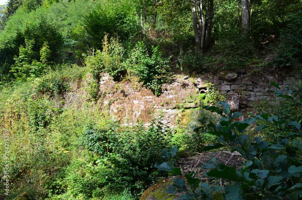 Bannwald Wieslaufschlucht Bannwald Wieslaufschlucht
