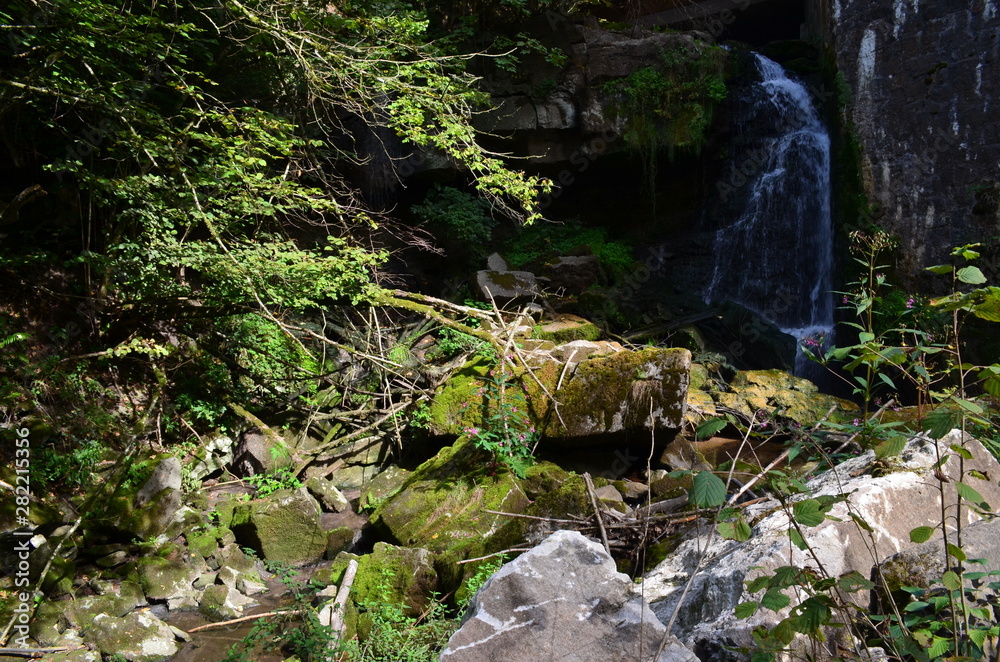 Fototapeta premium Bannwald Wieslaufschlucht