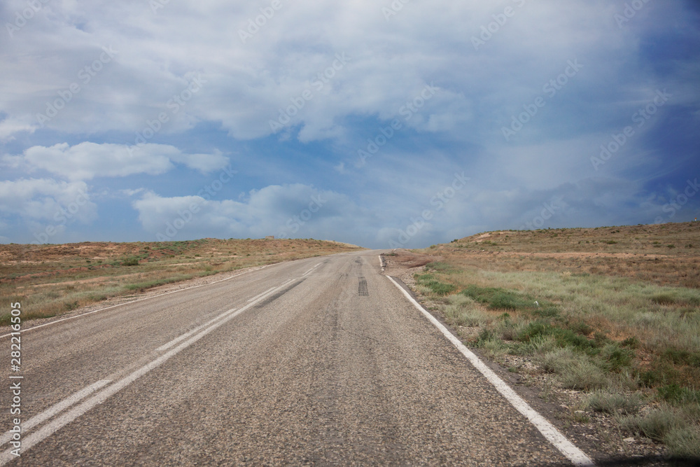 Fototapeta premium Steppe panorama of a desert landscape summer day. An asphalt road with markings goes forward to the horizon. Traveling among the sands and shrubs. Background image. Dull sky with clouds.