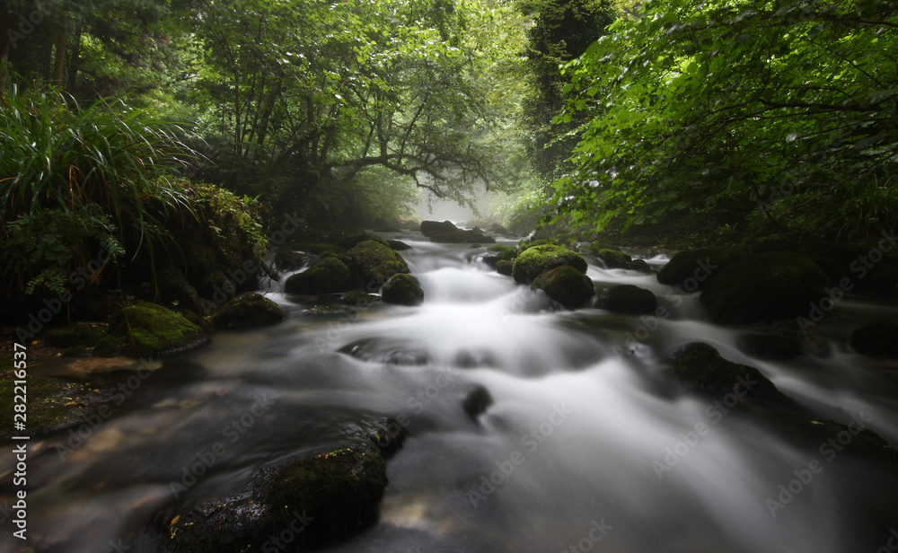 landscape with the flow of a mountain river against a misty forest landscape with the flow of a mountain river against a misty forest
