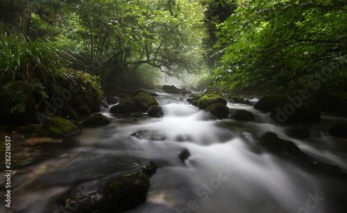 Fototapeta Naklejka Na Ścianę i Meble -  landscape with the flow of a mountain river against a misty forest