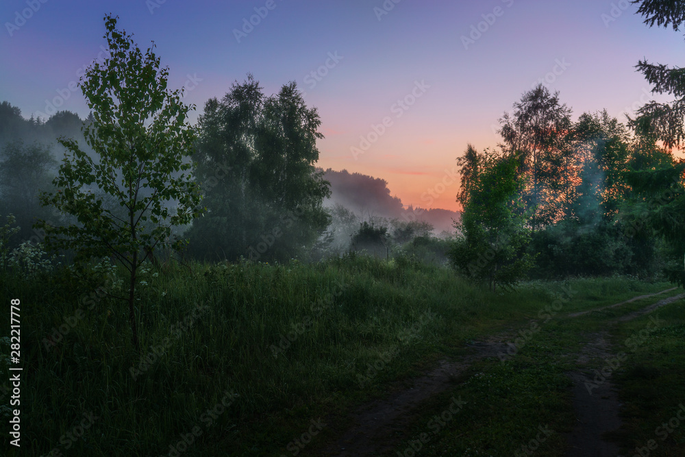 fog in the field in the forest at sunset. Dramatic sky and pink sunset in autumn and spring.