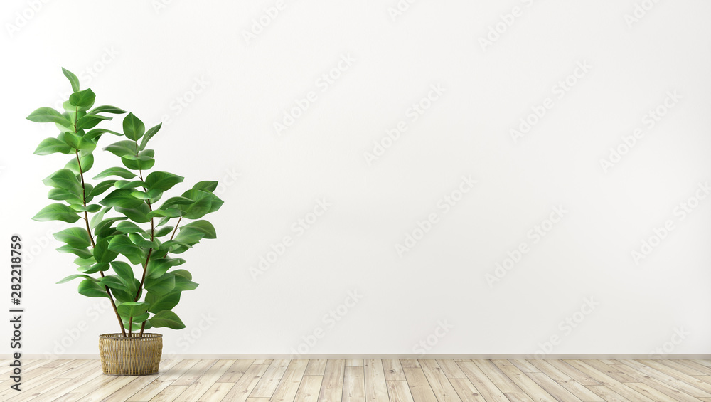 Interior background with plant 3d render - obrazy, fototapety, plakaty 