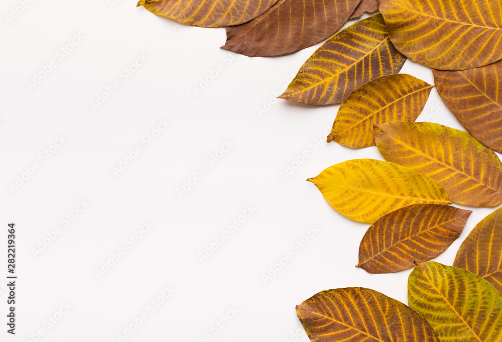 Fototapeta premium Creative frame of golden fallen autumn leaves on white