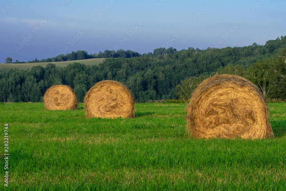 hay bales on green grass and blue sky hay bales on green grass and blue sky