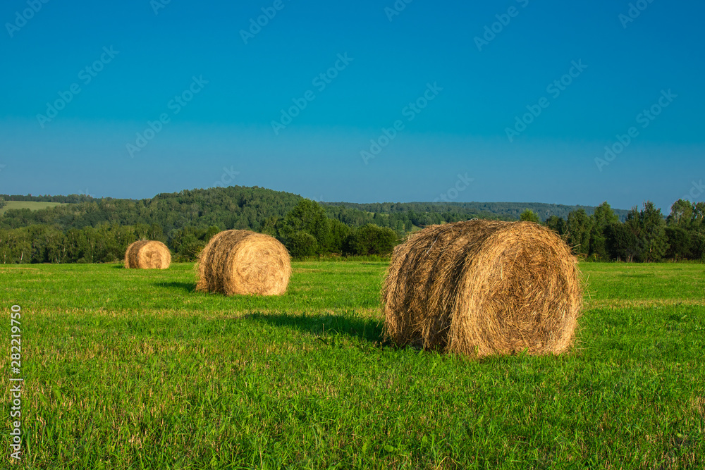 hay bales on green grass and blue sky