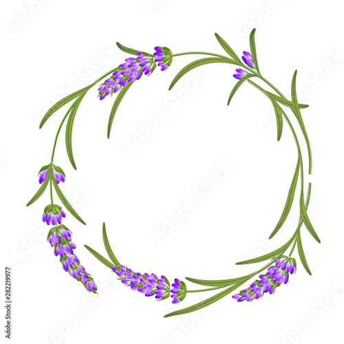 The lavender elegant frame with bouquet of flowers and text place. Lavender blossom marriage invitation. Label of soap package. Frame with lavender flowers. Vector illustration.