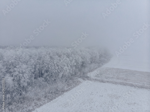 Field and white frozen trees in fog in winter, aerial view from the high