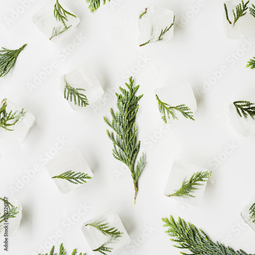 Conifer needles in ice cubes