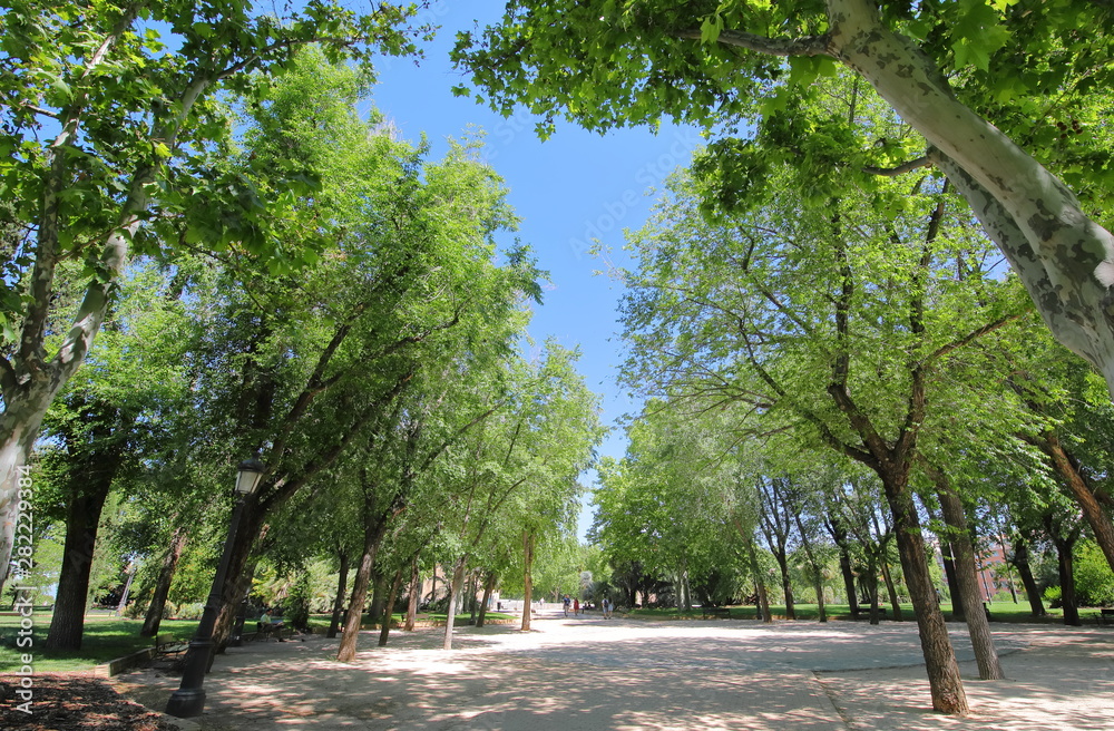 Rosaleda park garden Madrid Spain