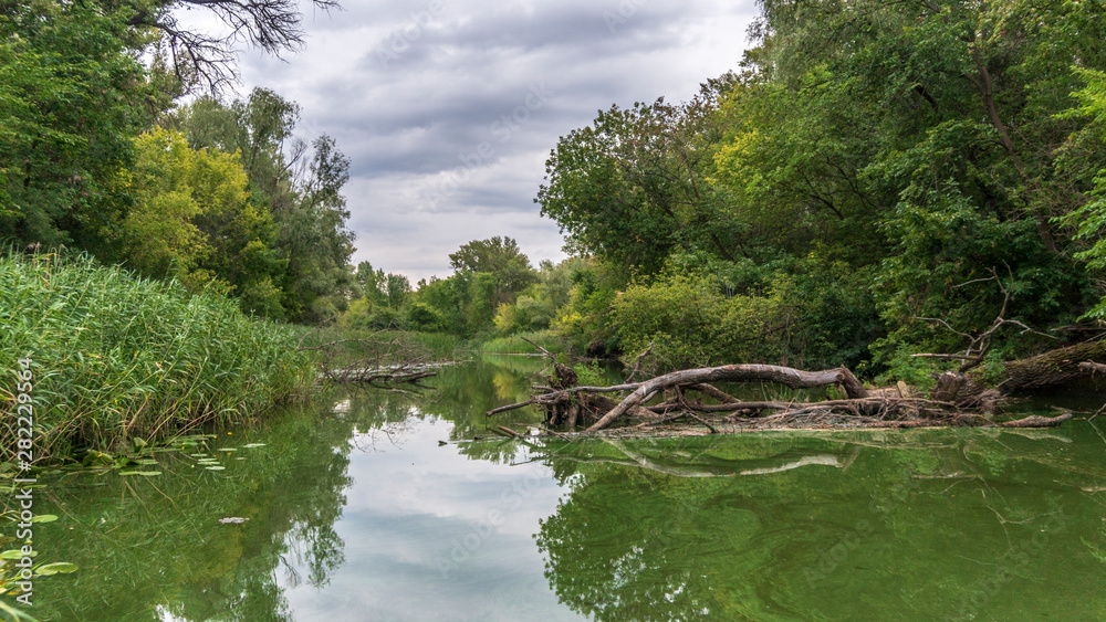 Fototapeta premium a river landscape. river channels