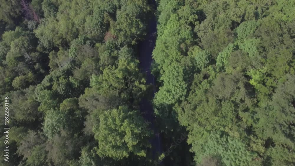 Aerial view of road in forest, sunny day Aerial view of road in forest, sunny day