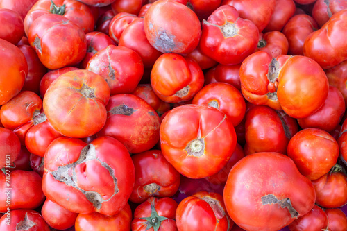 ugly tomatoes