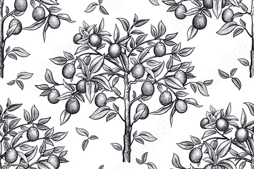 Seamless pattern with citrus trees. Black and white drawing.