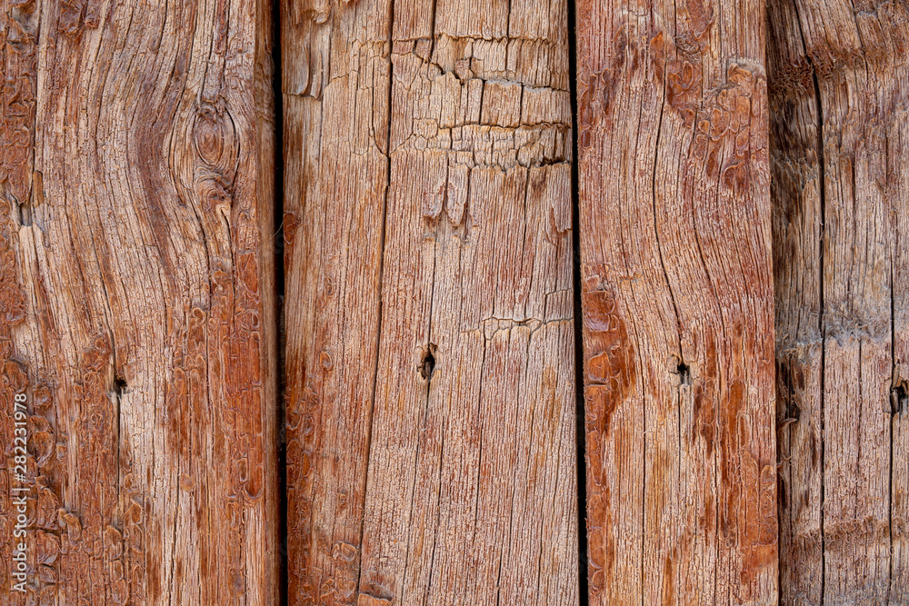 Wood Texture