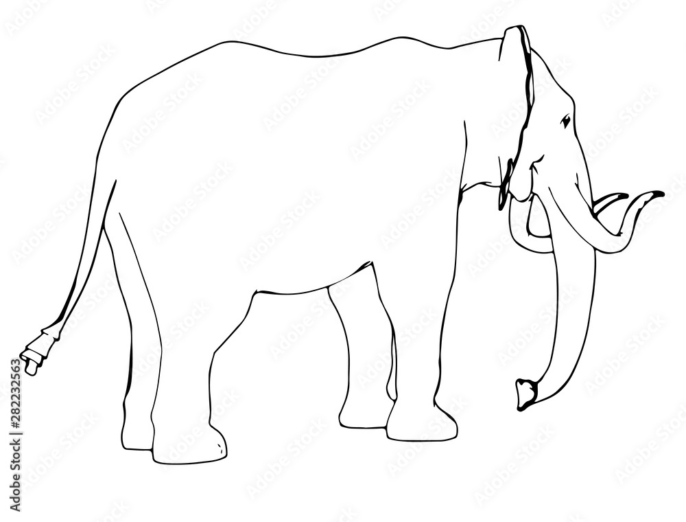 Obraz premium sketch of animal elephant isolated vector