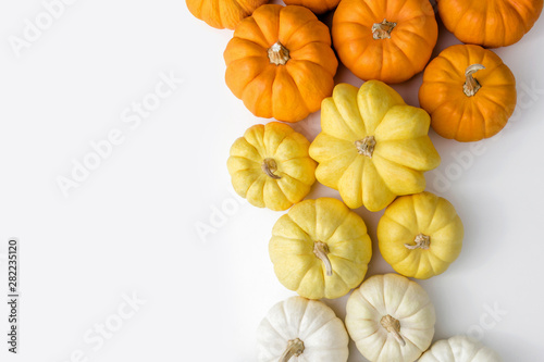 Colorful pumpkins on a white background, creative flat lay thanksgiving concept, top view woth copy space
