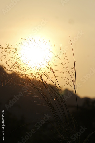 A NATURAL SUNSET WALLPAPER sweet in INDIA 