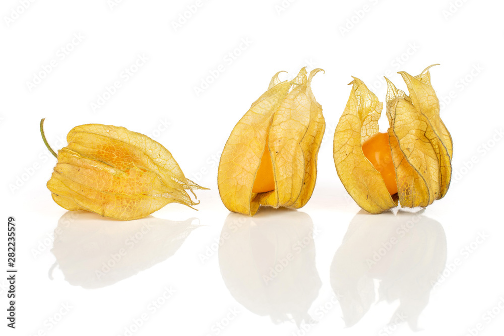 Group of three whole fresh orange physalis with husk in row isolated on white background Group of three whole fresh orange physalis with husk in row isolated on white background