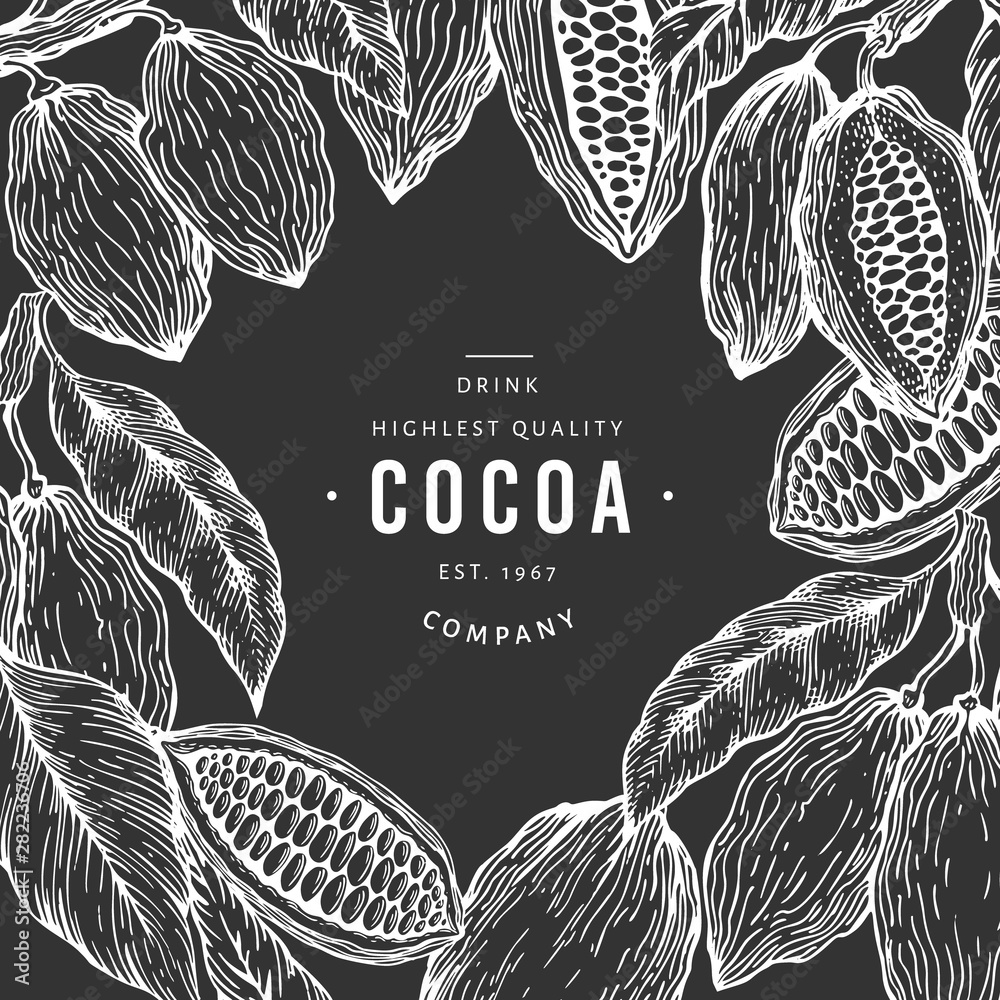 Fototapeta Cocoa bean tree banner template. Chocolate cocoa beans background. Vector hand drawn illustration on chalk board. Vintage style illustration.