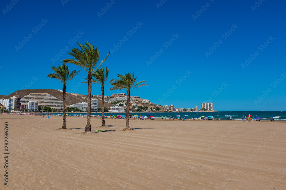 Palmtrees on a beach in Cullera, Spain