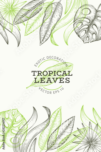 Tropical plants banner design. Hand drawn tropical summer exotic leaves illustration. Jungle leaves  palm leaves engraved style. Vintage background design