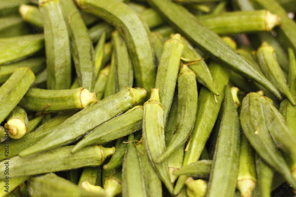 ladyfinger in INDIA is a vegetable is hybrid ladyfinger in INDIA is a vegetable is hybrid