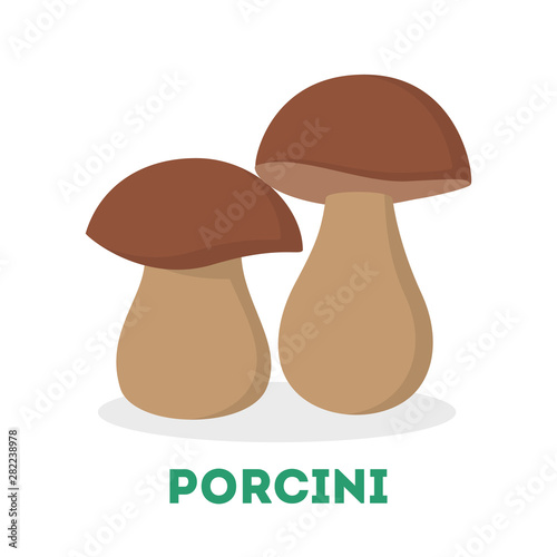 Porcini mushroom