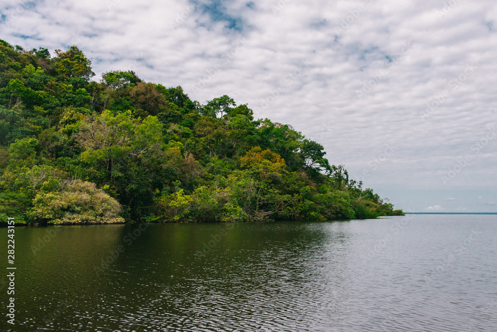 Reflection of trees in the Tapajós River in Alter do Chão, Pará, Brazil Reflection of trees in the Tapajós River in Alter do Chão, Pará, Brazil