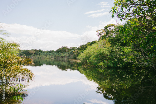 Reflection of trees in the Tapaj  s River in Alter do Ch  o  Par    Brazil