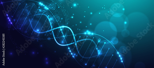 Science template, wallpaper or banner with a DNA molecules. Vector illustration.