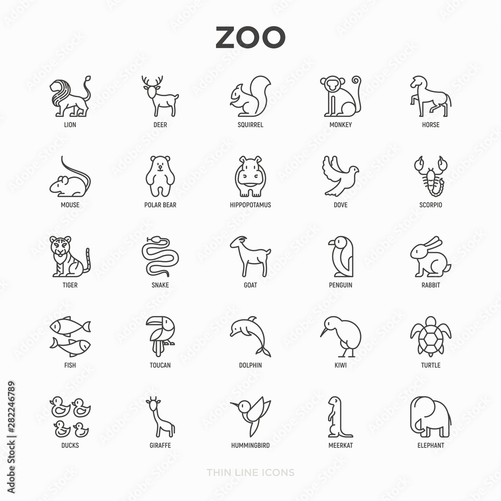 Zoo thin line icons set: lion, deer, horse, monkey, tiger, penguin, hippo, giraffe, elephant, turtle. Modern vector illustration.