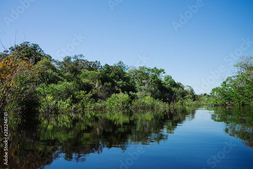 Tree reflections in the Rio Negro  Amazon Jungle - Brazil